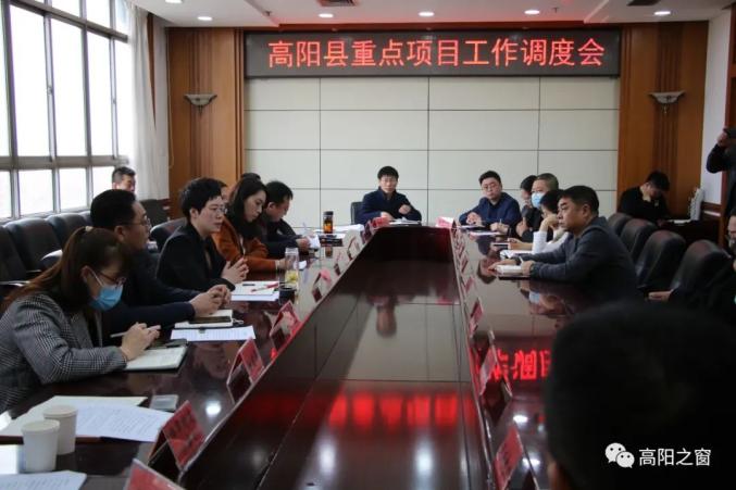高阳县最新消息全面解读与分析