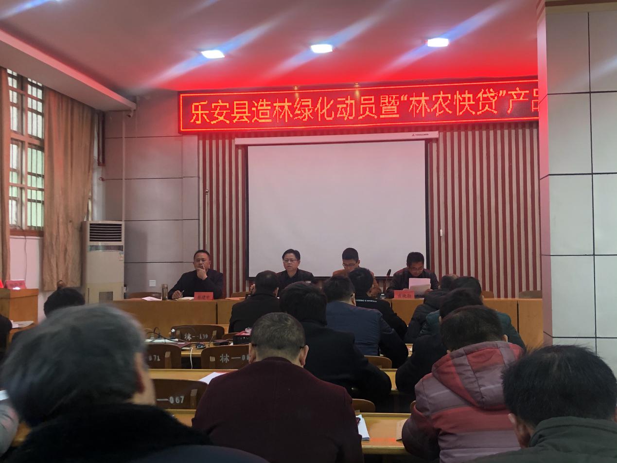 乐安县最新消息全面解读与分析