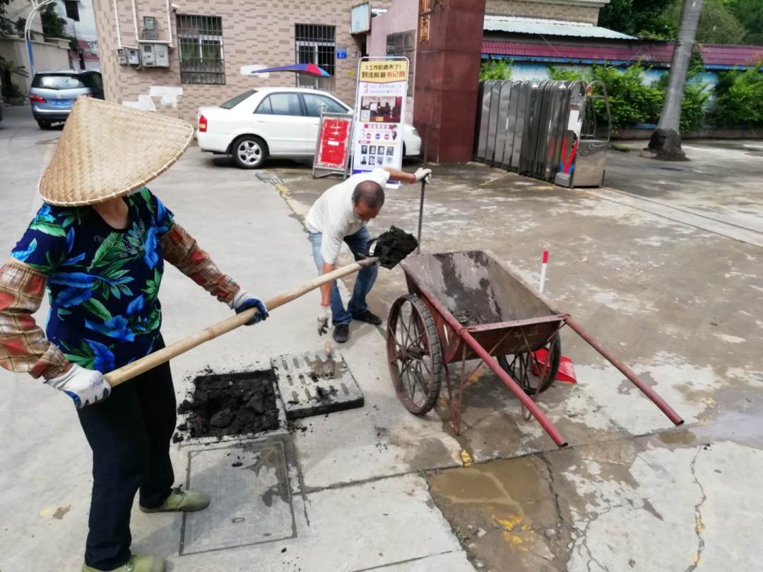 东凤镇最新招聘动态，影响与趋势分析