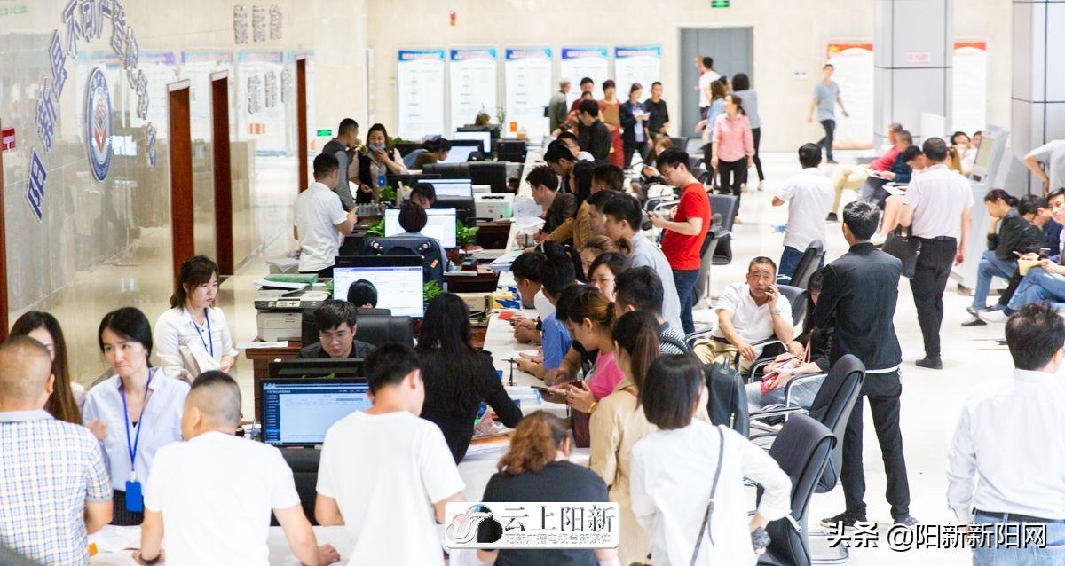 阳新县数据和政务服务局最新动态新闻发布