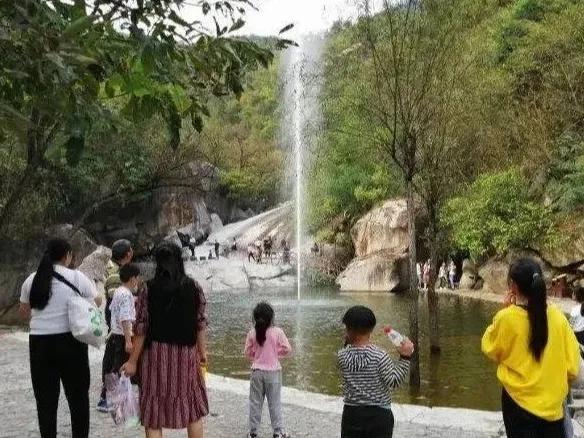 西峡县市场监督管理局最新战略规划与发展动向