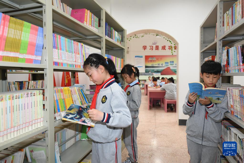 吴兴区图书馆最新动态新闻